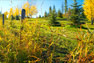 images/gallery/mv_large12.jpg
