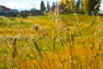 images/gallery/mv_large14.jpg