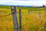 images/gallery/mv_large7.jpg
