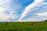 images/gallery/mv_large8.jpg